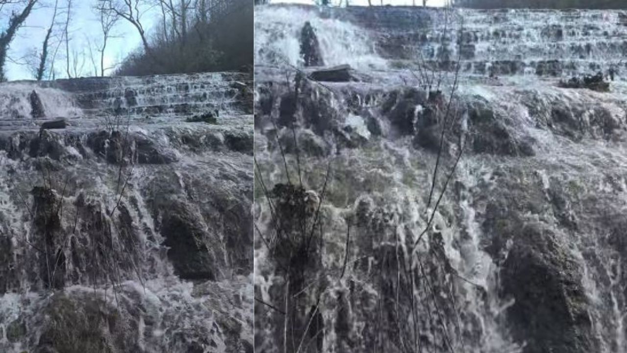 Bir Başlık Ekleyin (4)-328