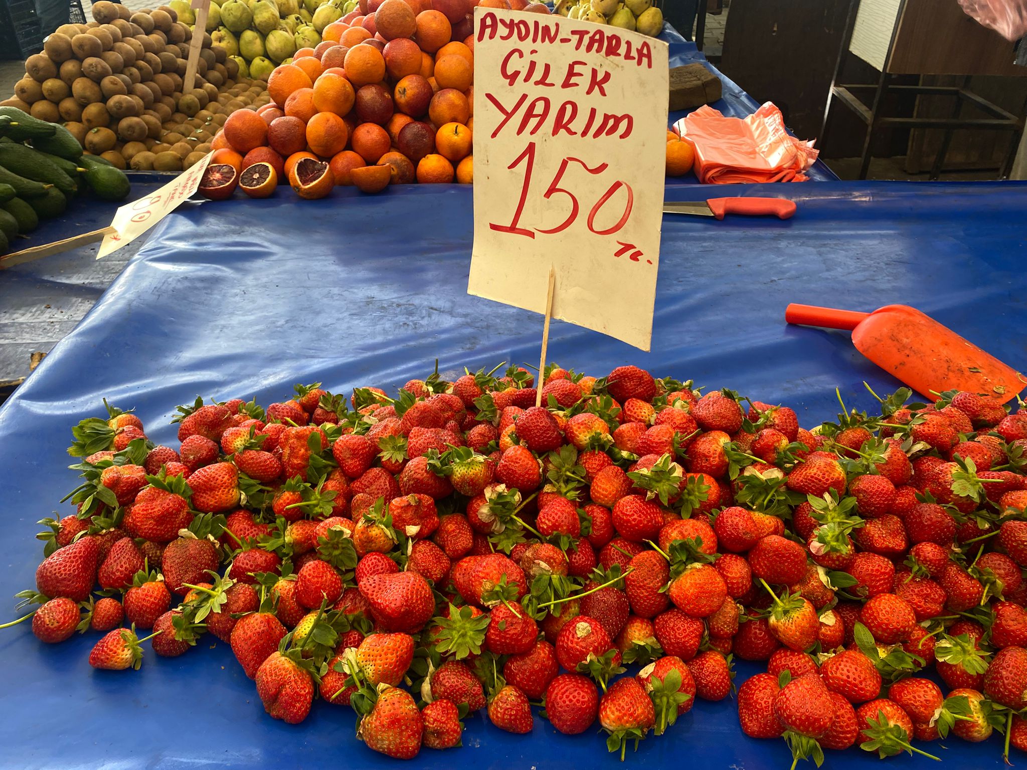 C4B283Ff 8681 4C21 A016 03C57B7304E6