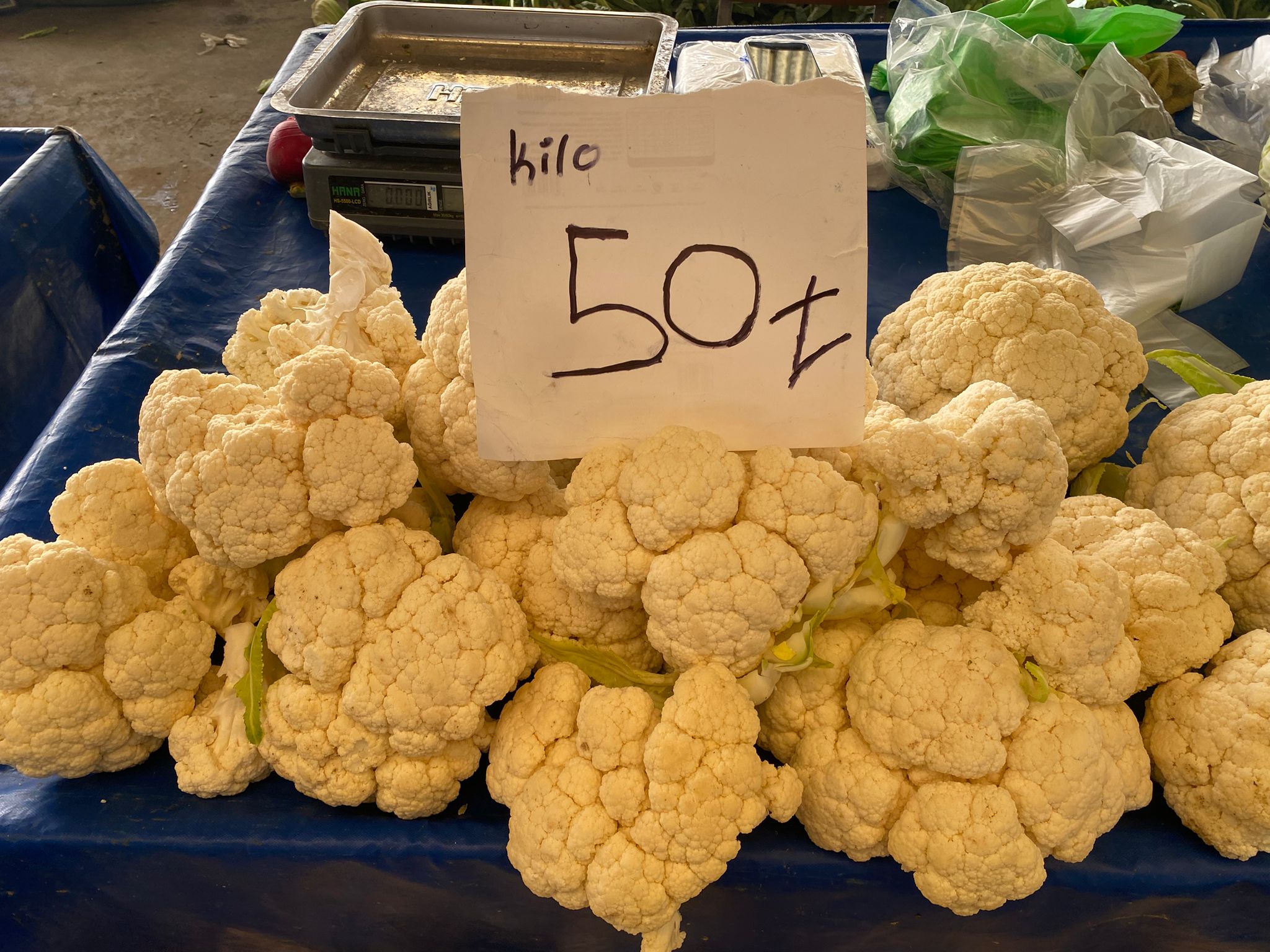 Dabab8B7 4193 4F68 A887 43044Ea86D92