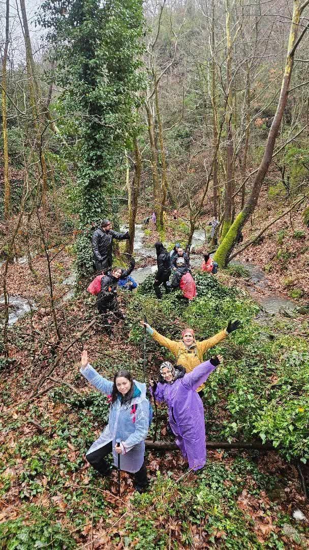 E2E229Cf D03D 459E Bce6 Fbf578C4B862