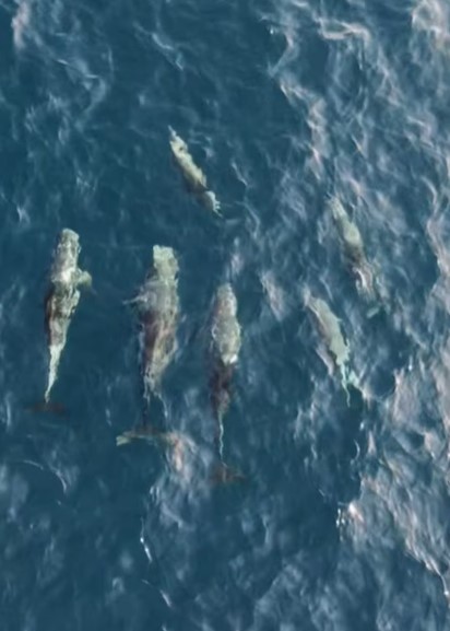 Ekran Görüntüsü 2026 02 04 110703