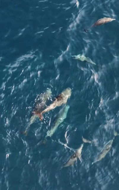 Ekran Görüntüsü 2026 02 04 110736