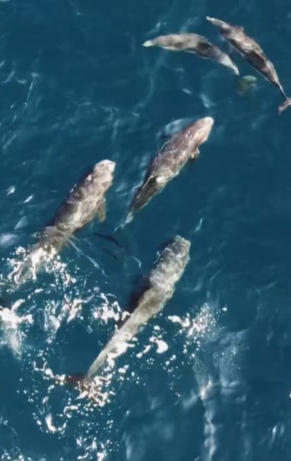 Ekran Görüntüsü 2026 02 04 110834