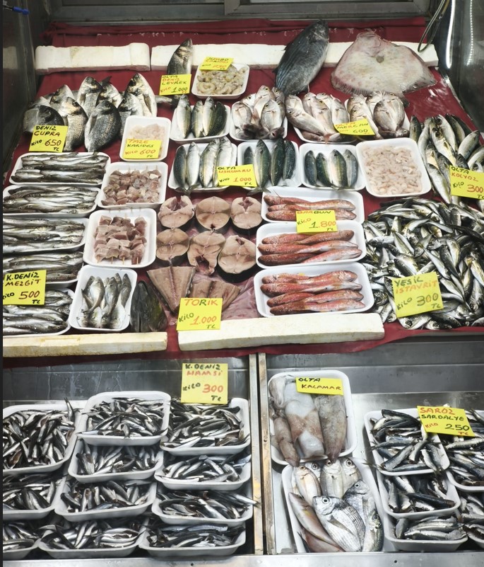 Ekran Görüntüsü 2026 02 12 104250