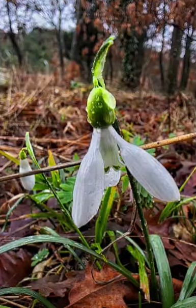 Ekran Görüntüsü 2026 02 12 123433