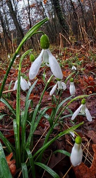 Ekran Görüntüsü 2026 02 12 123505