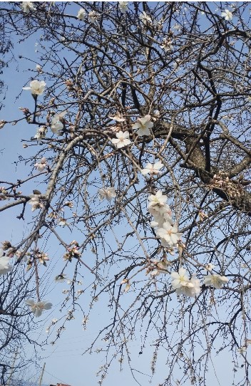 Ekran Görüntüsü 2026 02 15 105914