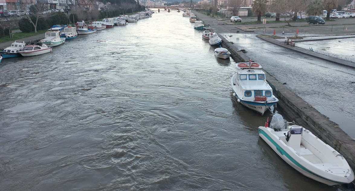 Ekran Görüntüsü 2026 02 19 091208Zzz