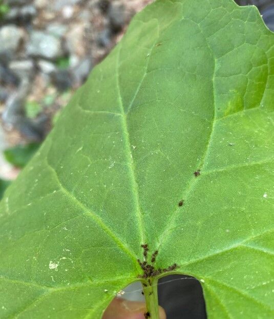 Ekran Görüntüsü 2026 02 27 134855