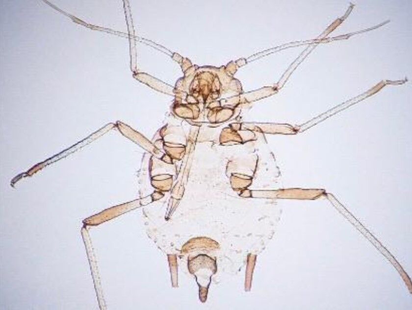 Ekran Görüntüsü 2026 02 27 134911