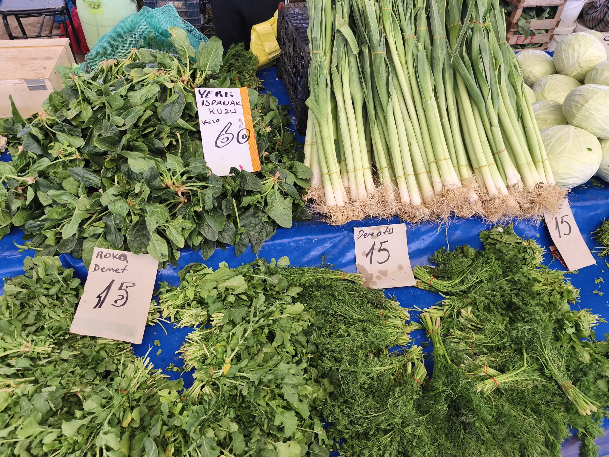 Facd9038 A2De 497A A2De B5Eb1C2Ba10E