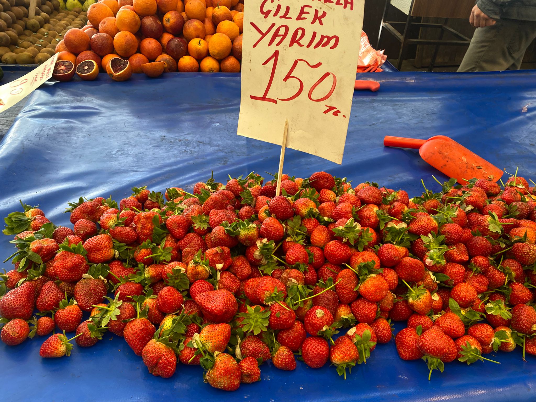 Fbb447F8 2361 4Fac 8748 D19973862Cf1