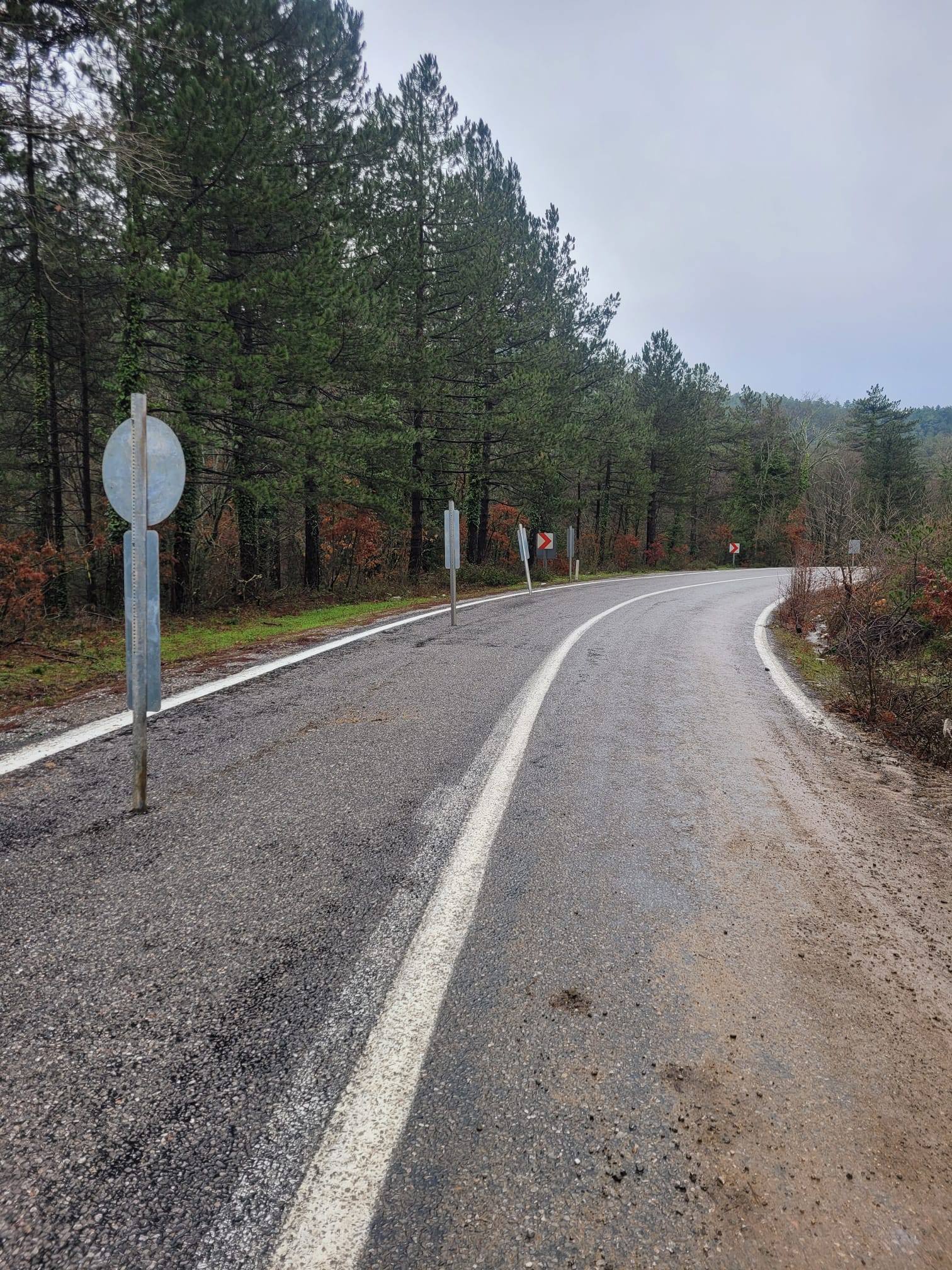 625046035 122226993866271763 8241614877901634503 N