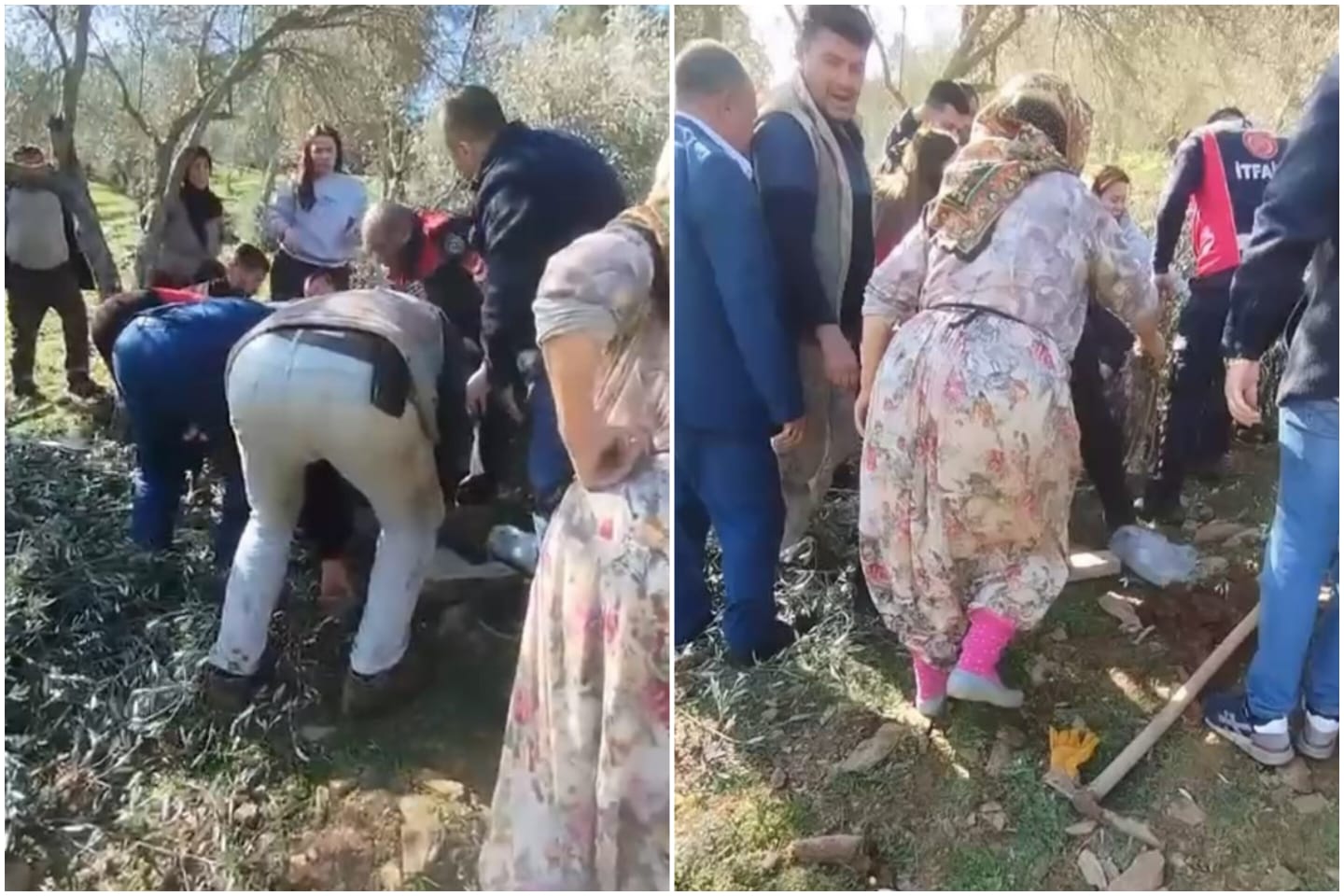 7B565363 Bf0B 45Fa Ad00 8D18Ca132137