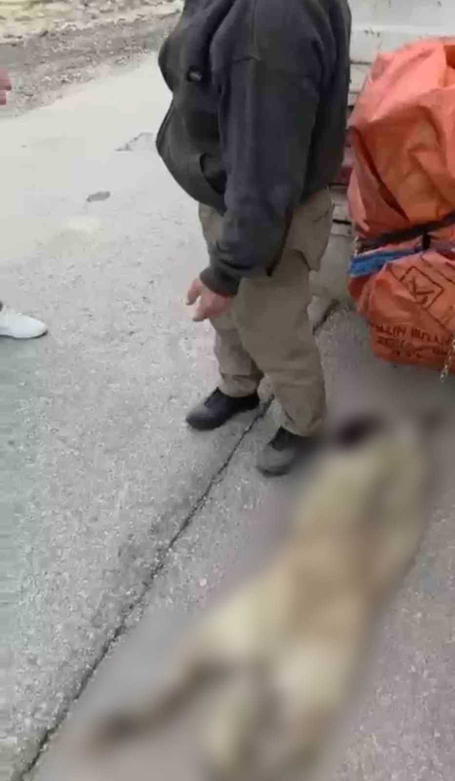 Whatsapp Image 2026 02 06 At 23.57.58