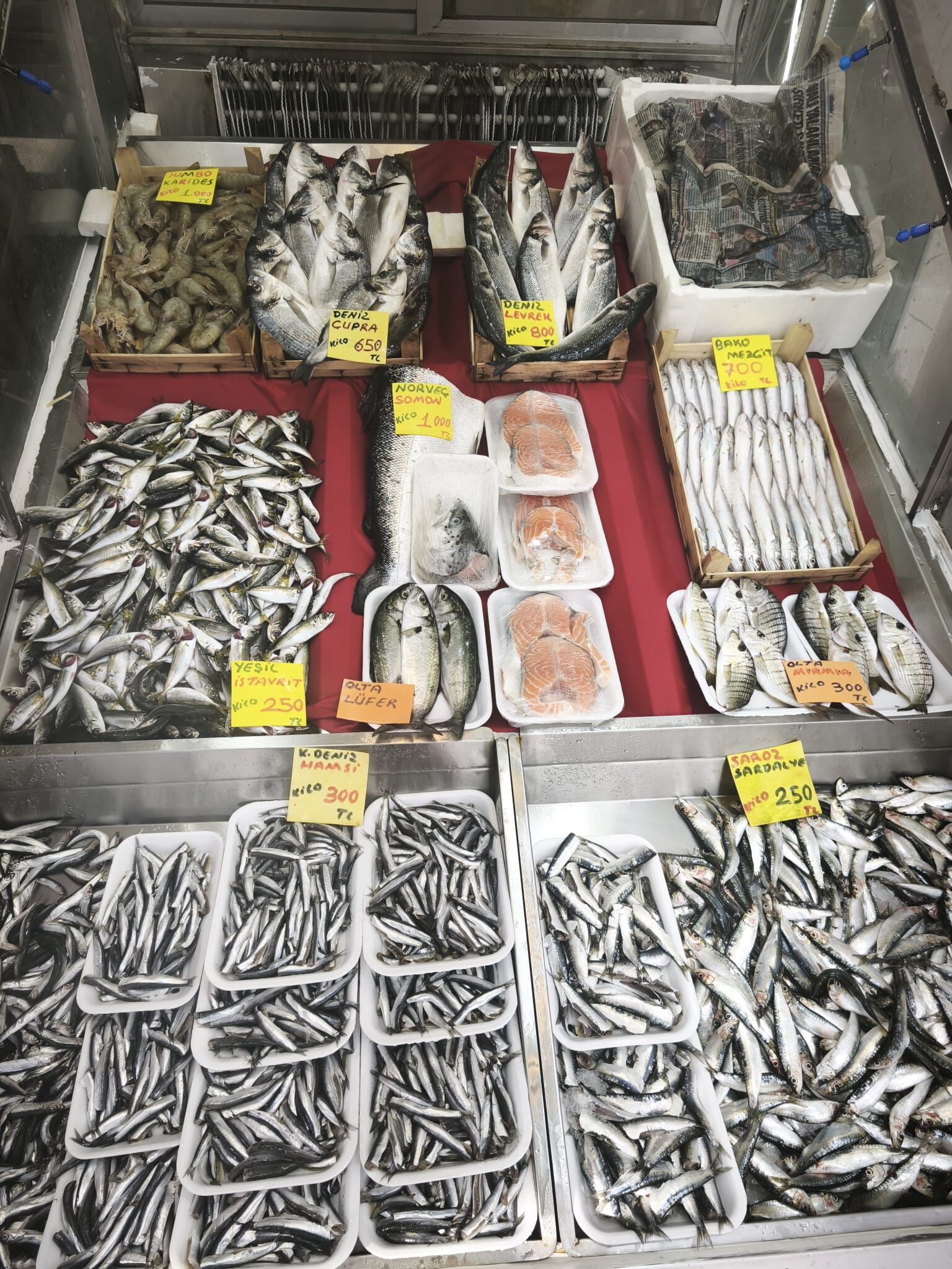 06C8720D D0Ce 43E4 B9A0 D566E708968E