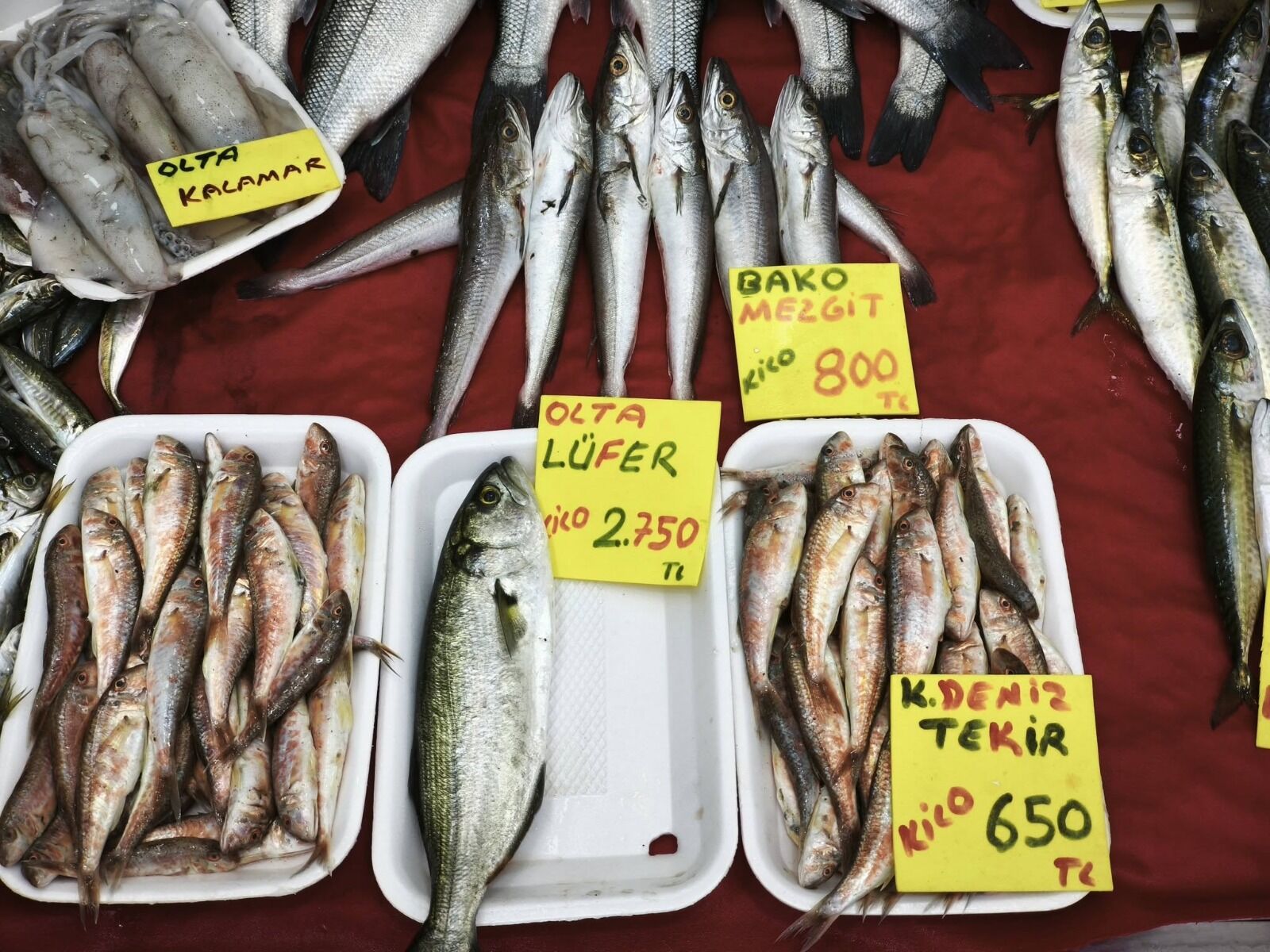 0Ab45697 8F4C 442D Ac4F 13D71B0E4A8D