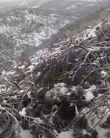 17F61626 763F 42C8 9D2D Cabbd5695065