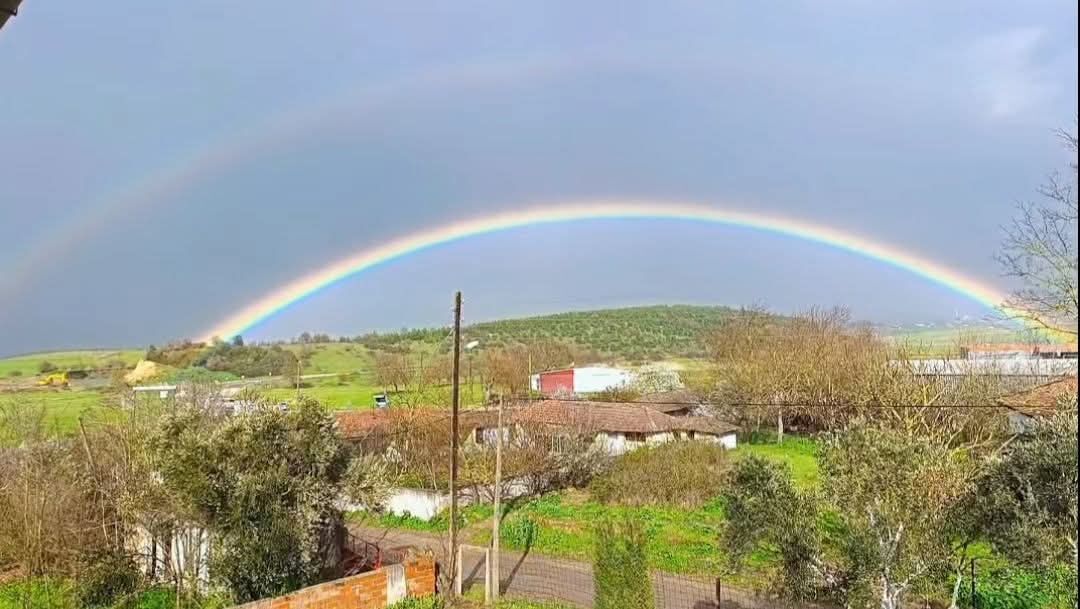 1996C0A3 05A4 4F05 B457 228Dd0F6385D