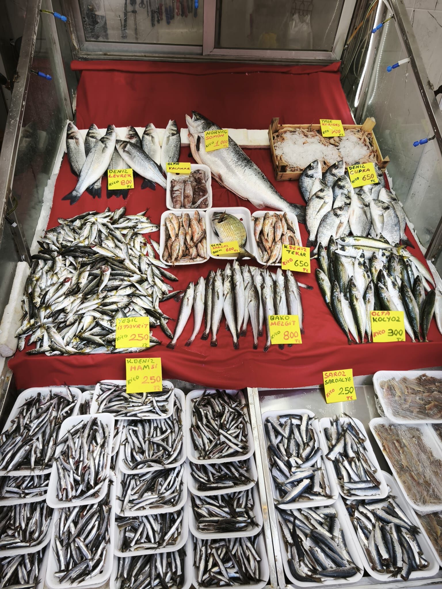 2C9C7Fc0 F98F 4494 9546 3Eb27Ddb3044