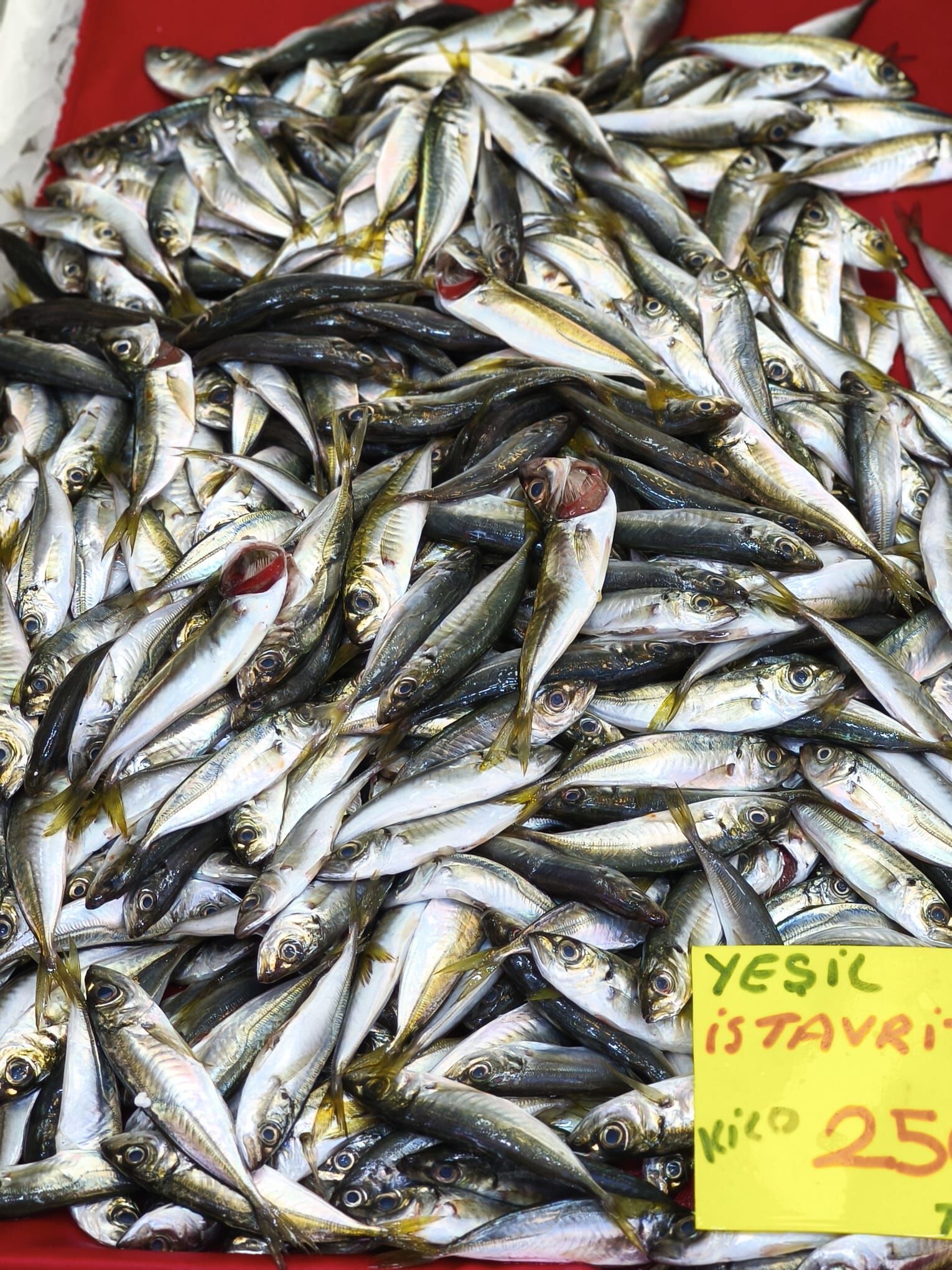 3C24Aa14 2Df2 4F30 A8A6 2F66Aa5B7074