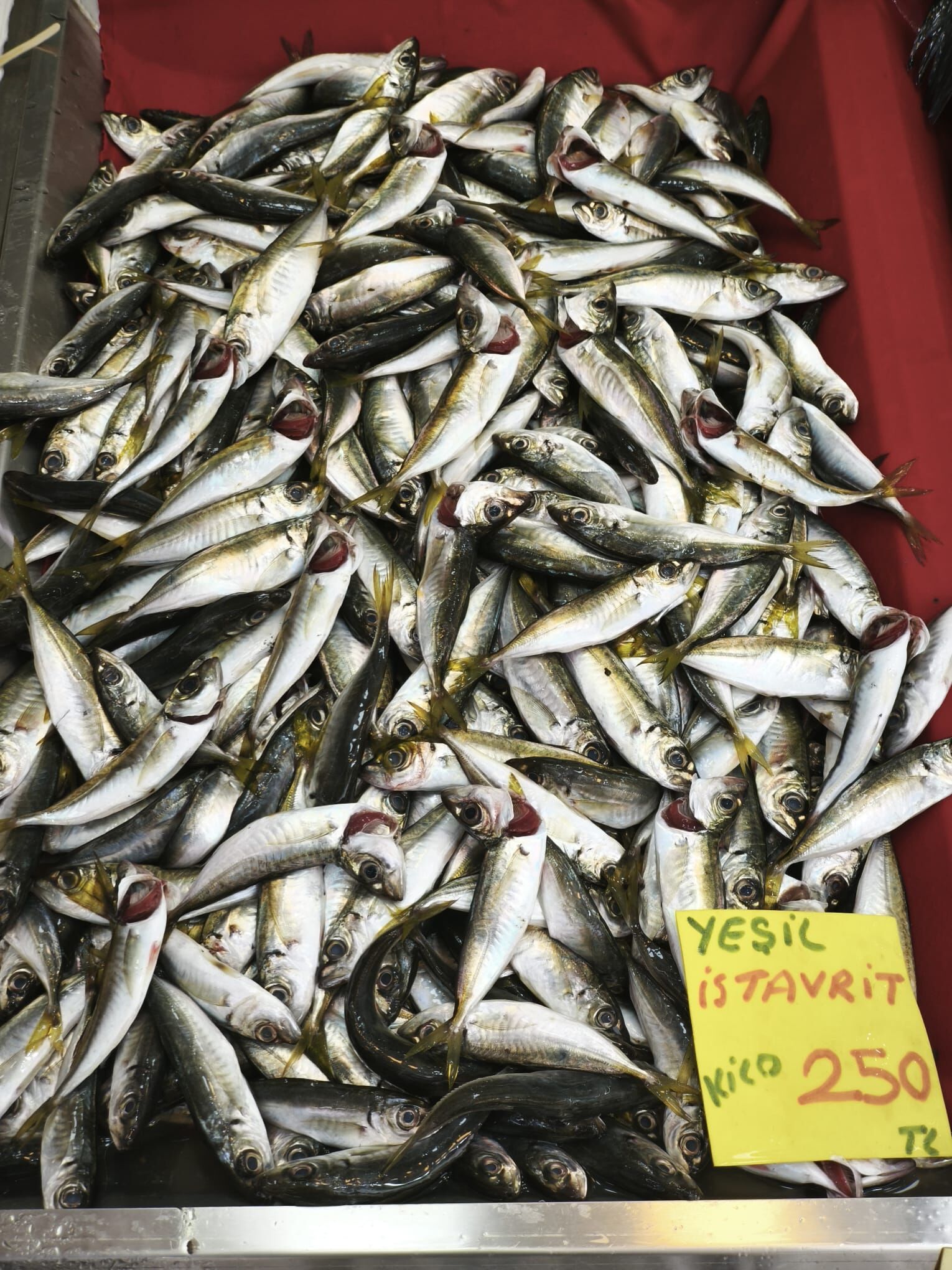 430Dfe03 7Ead 47Ad 92Ce Cbe40Ababa3B