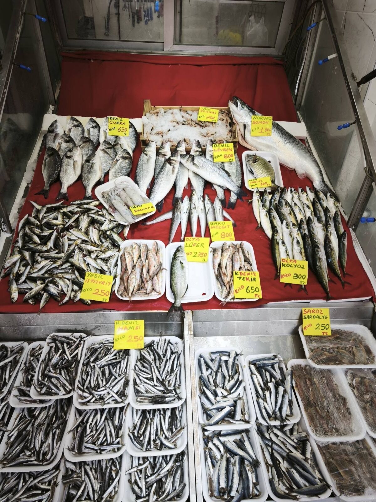 4835F5A2 68B6 4E09 9Bd4 5666D4A2Ceb3