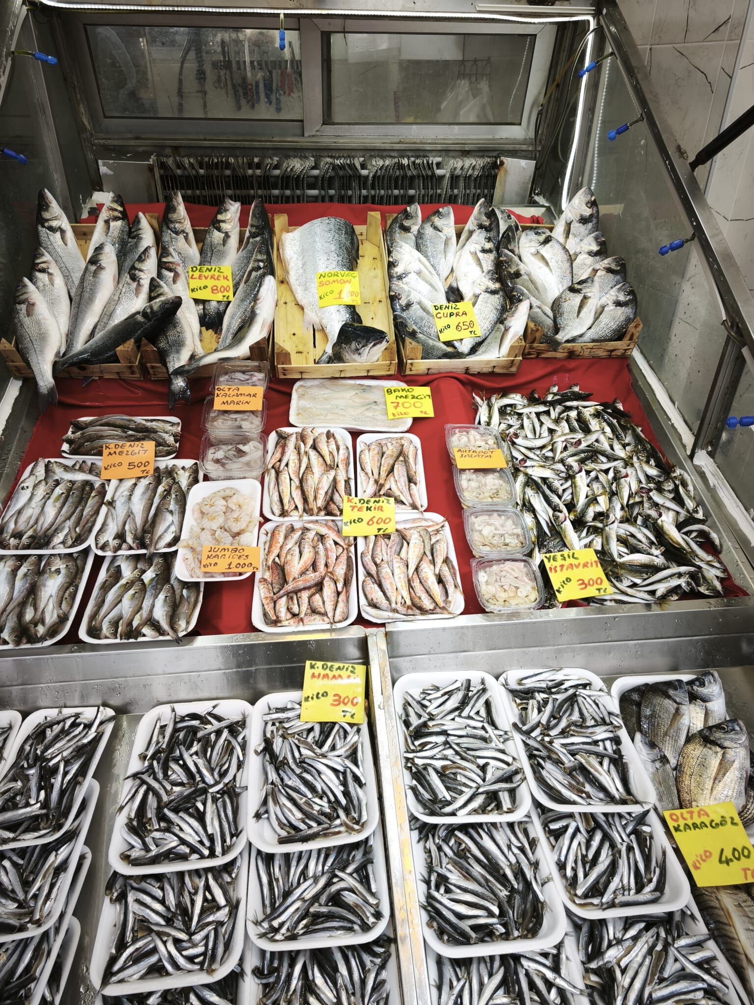 543D2D86 80Ea 49F0 A6De Cb96F4Ddf7B1