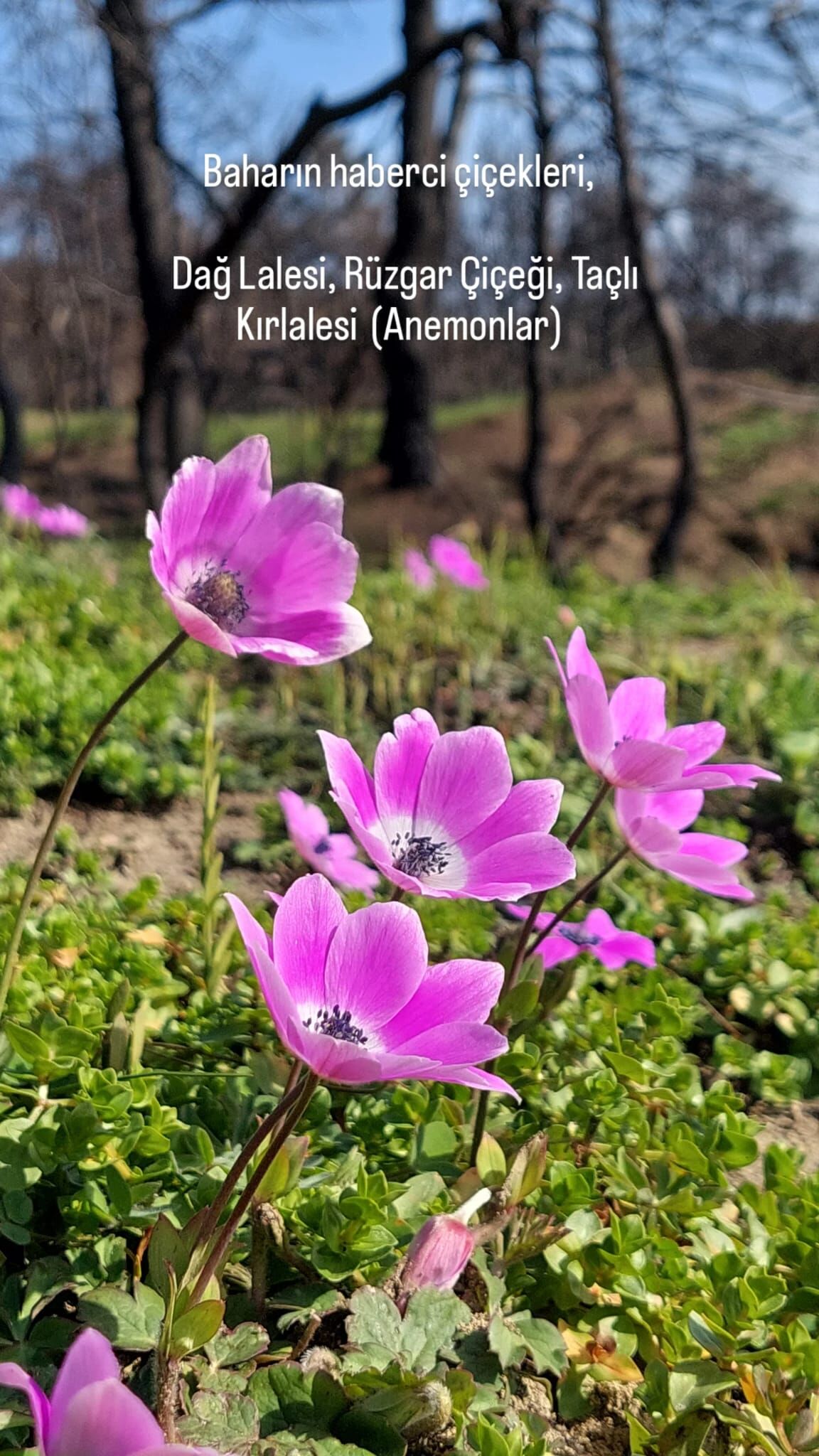 5A93Ef63 03D4 42Ad 82E7 92D1C97E6A20