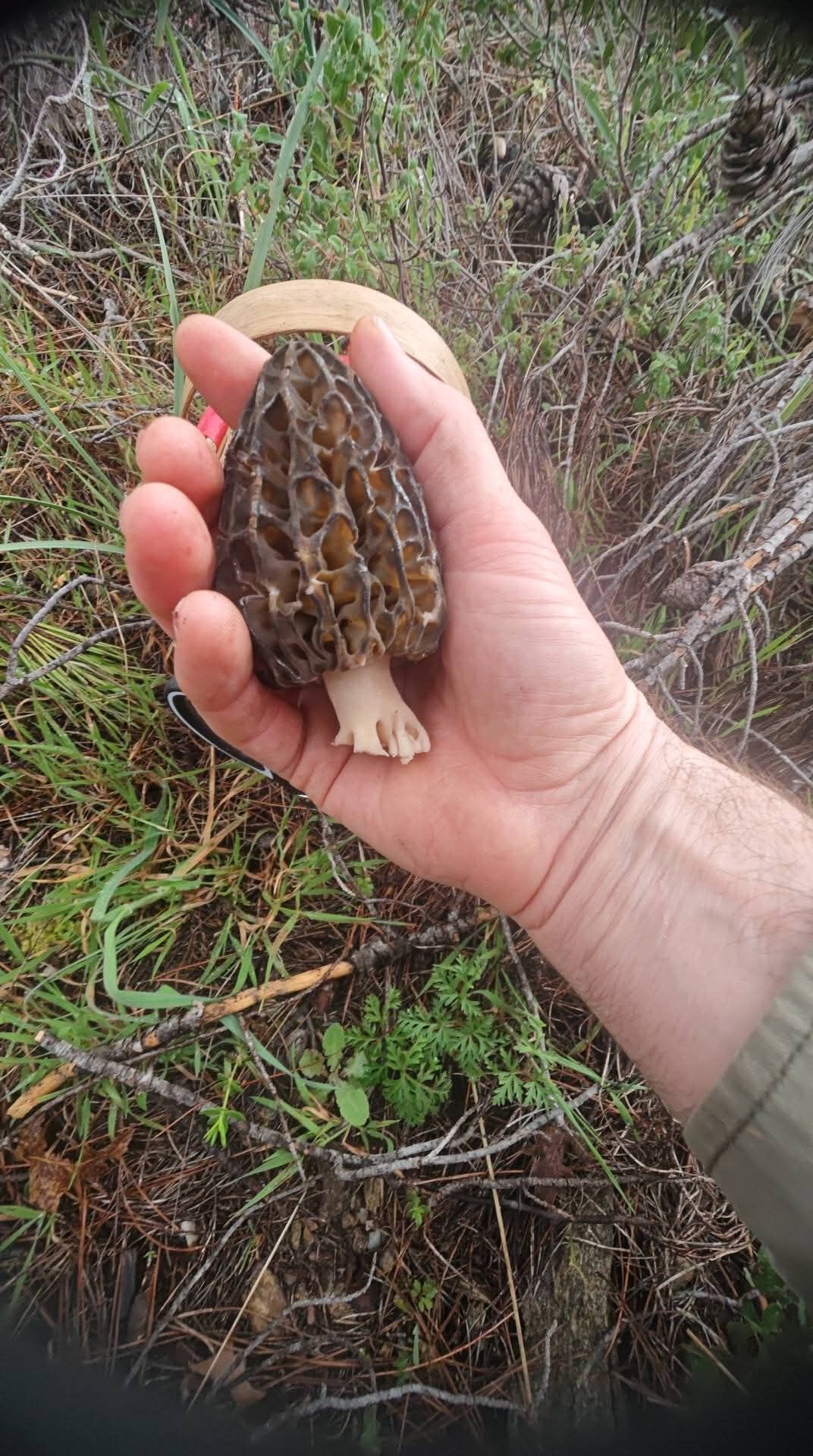 6061D90C 953E 4Fb2 8E31 8843F279B422