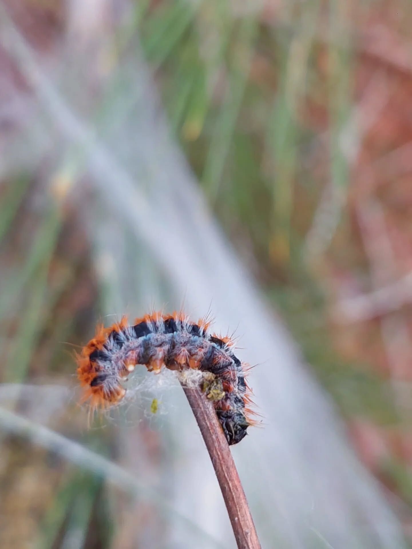 656767022 18584112709039216 2966060736413687129 N