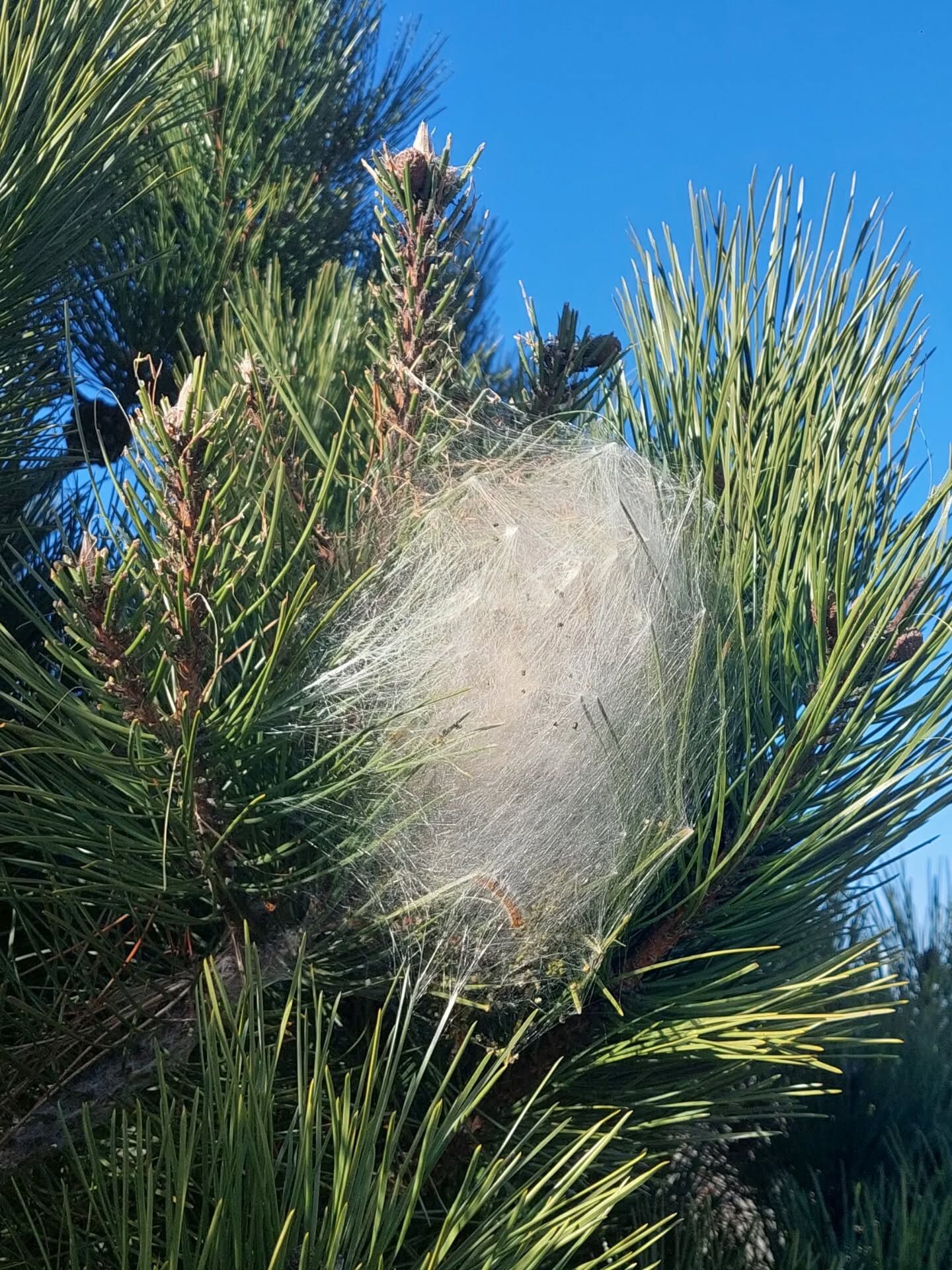 656875600 18584112655039216 1751860869478018512 N