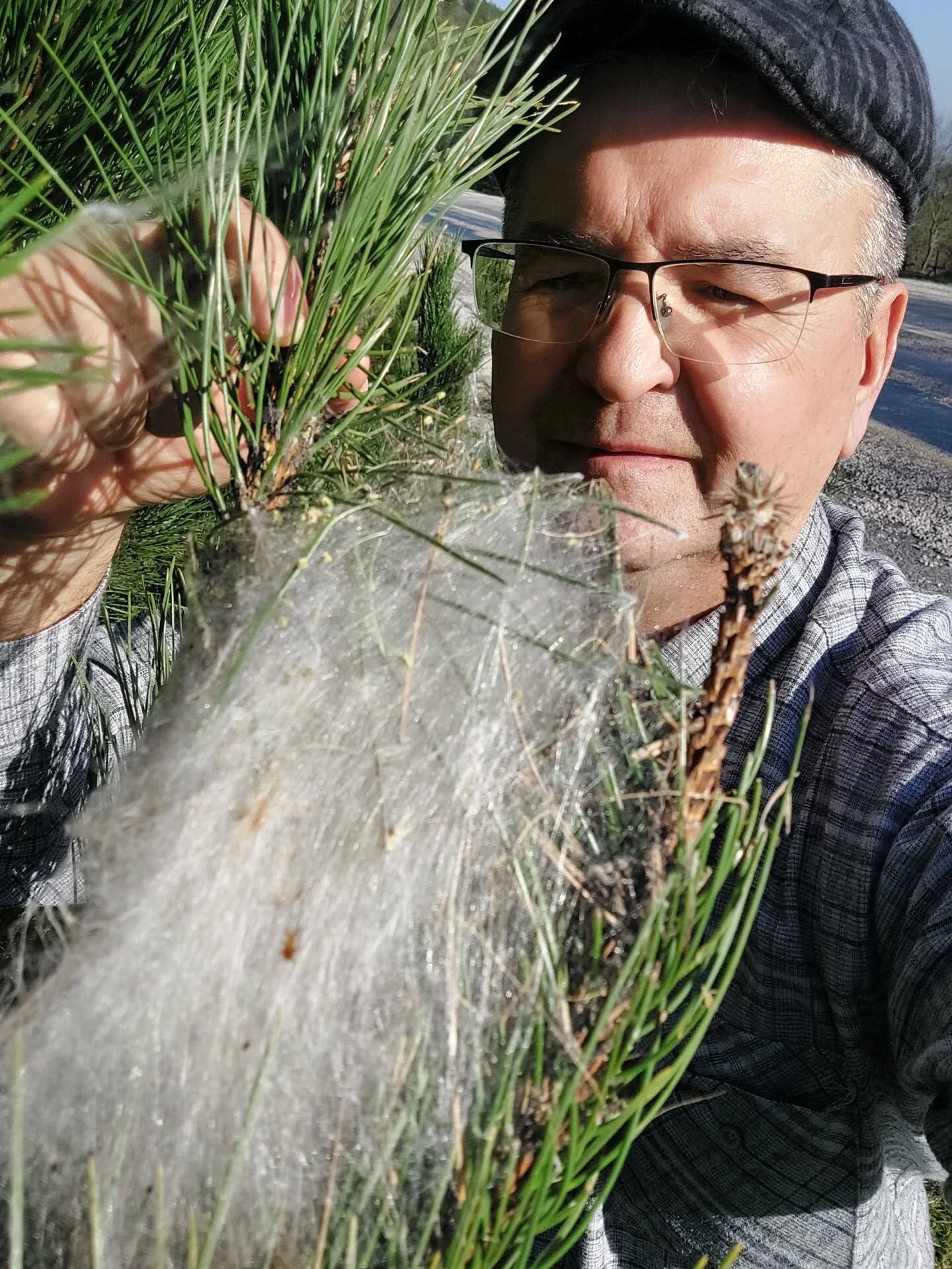 657339562 18584112727039216 4279694181897006448 N