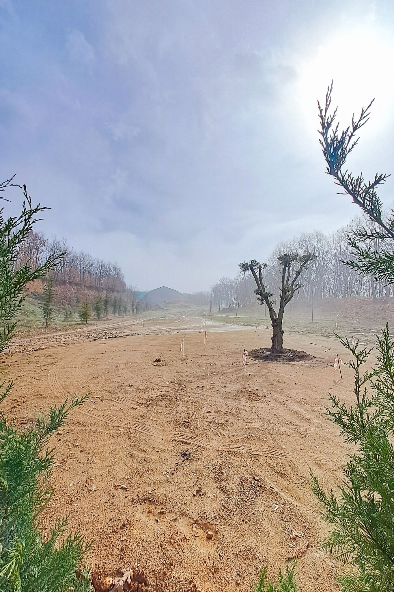 661282958 122233828964271763 9132040266078652182 N