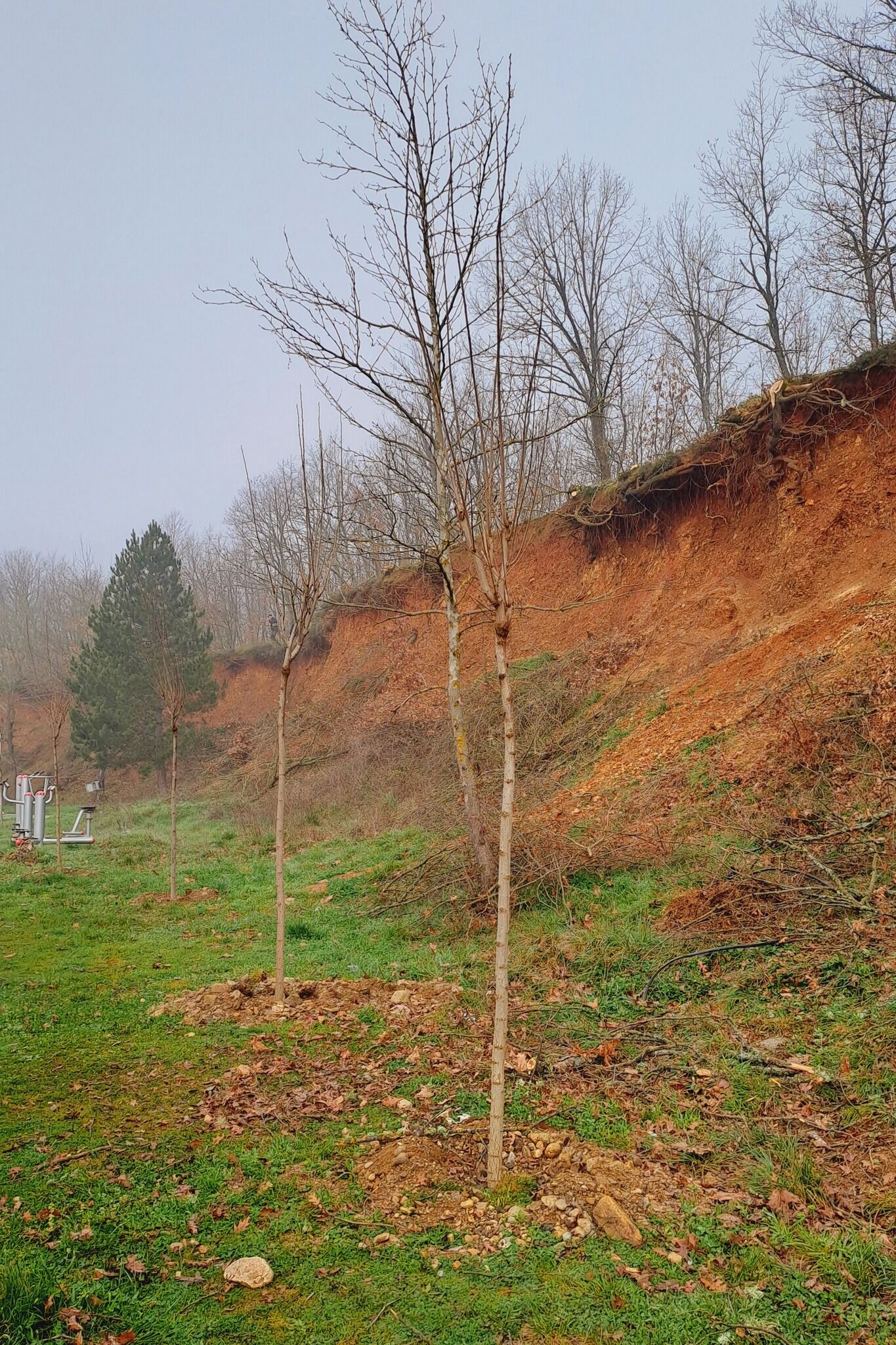 661370257 122233829156271763 6829746738119273799 N