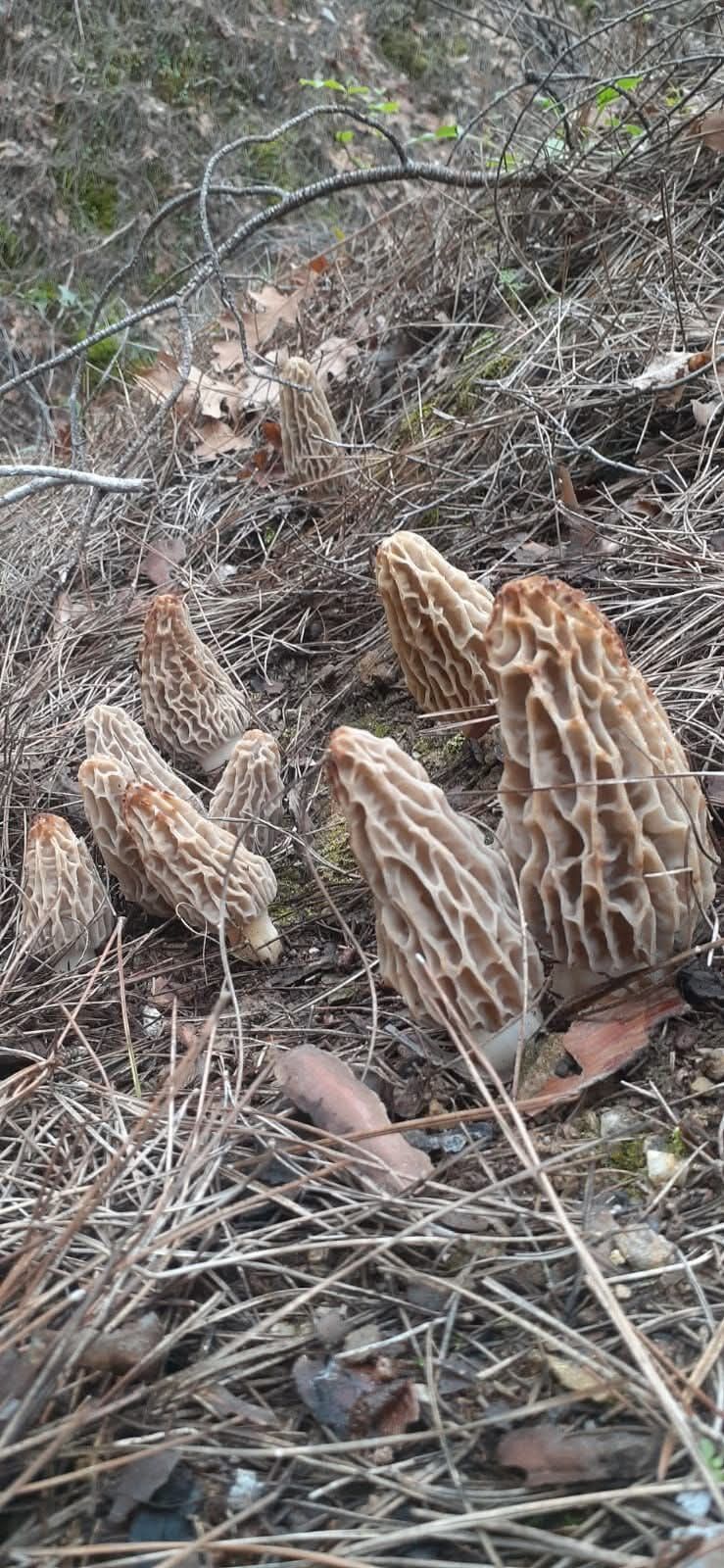 790B8D40 6206 405F 887B 13Ae6D895D2B