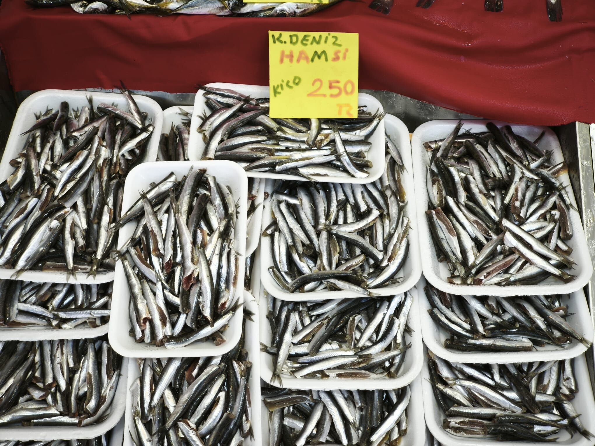 8238E141 E8D7 442F B94C 99Ba858C380E