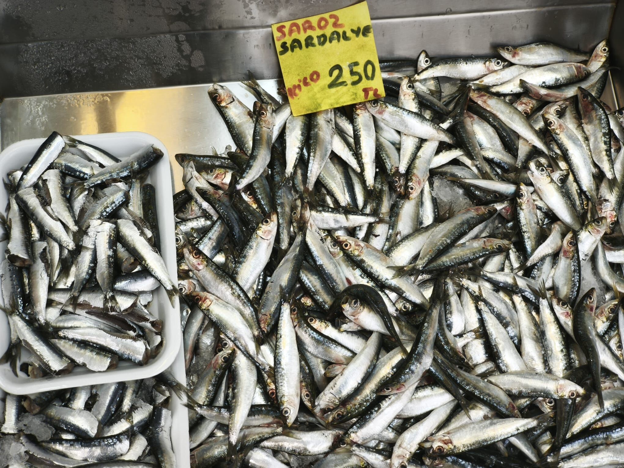 845D8Fbb 9E0B 4A4E Af2F 5E268Fa48Ac9