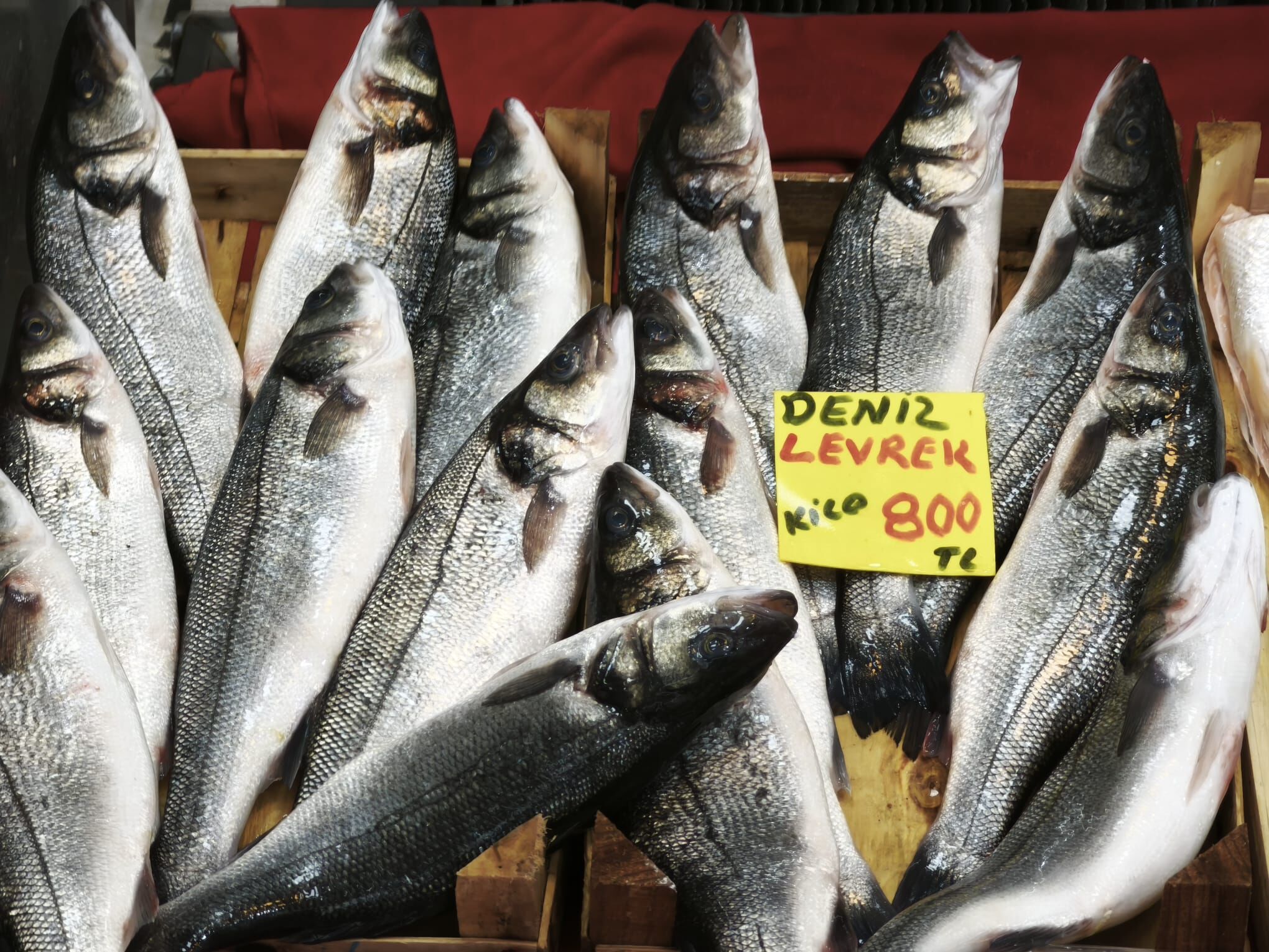 885170E5 62E7 43A5 A754 5Ce289C4E17E