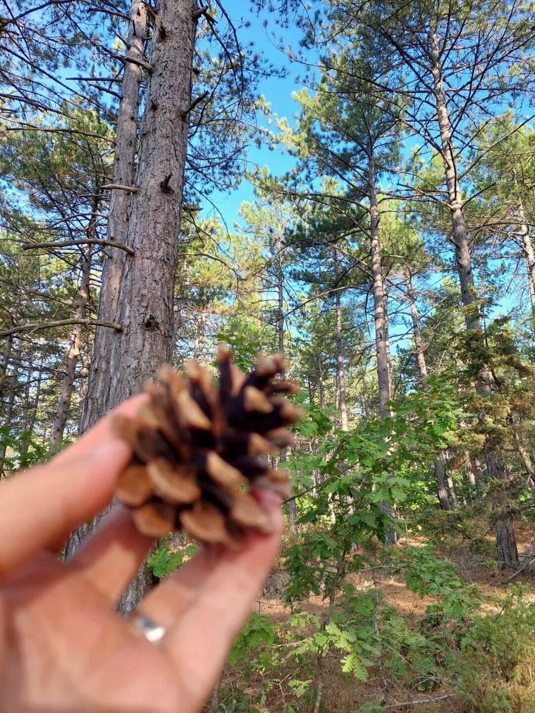 92B71205 4Af6 4B0A A4Eb Abf7881D6856