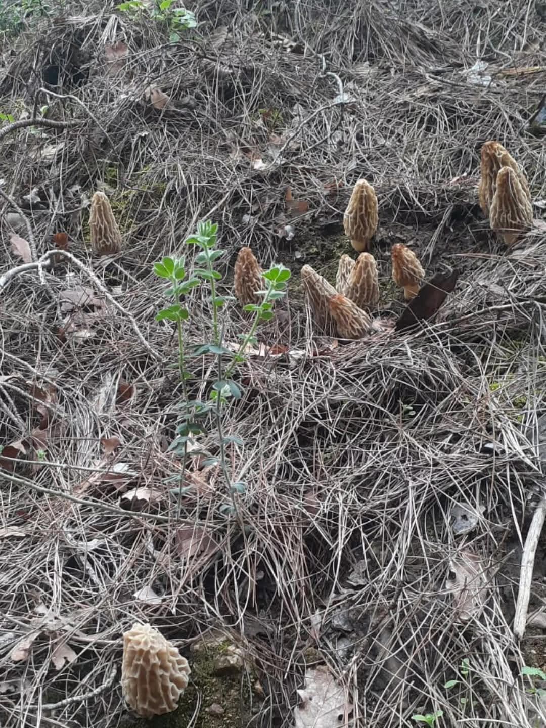 93992023 6Cff 47F7 88Ab 6C73034C1Bda