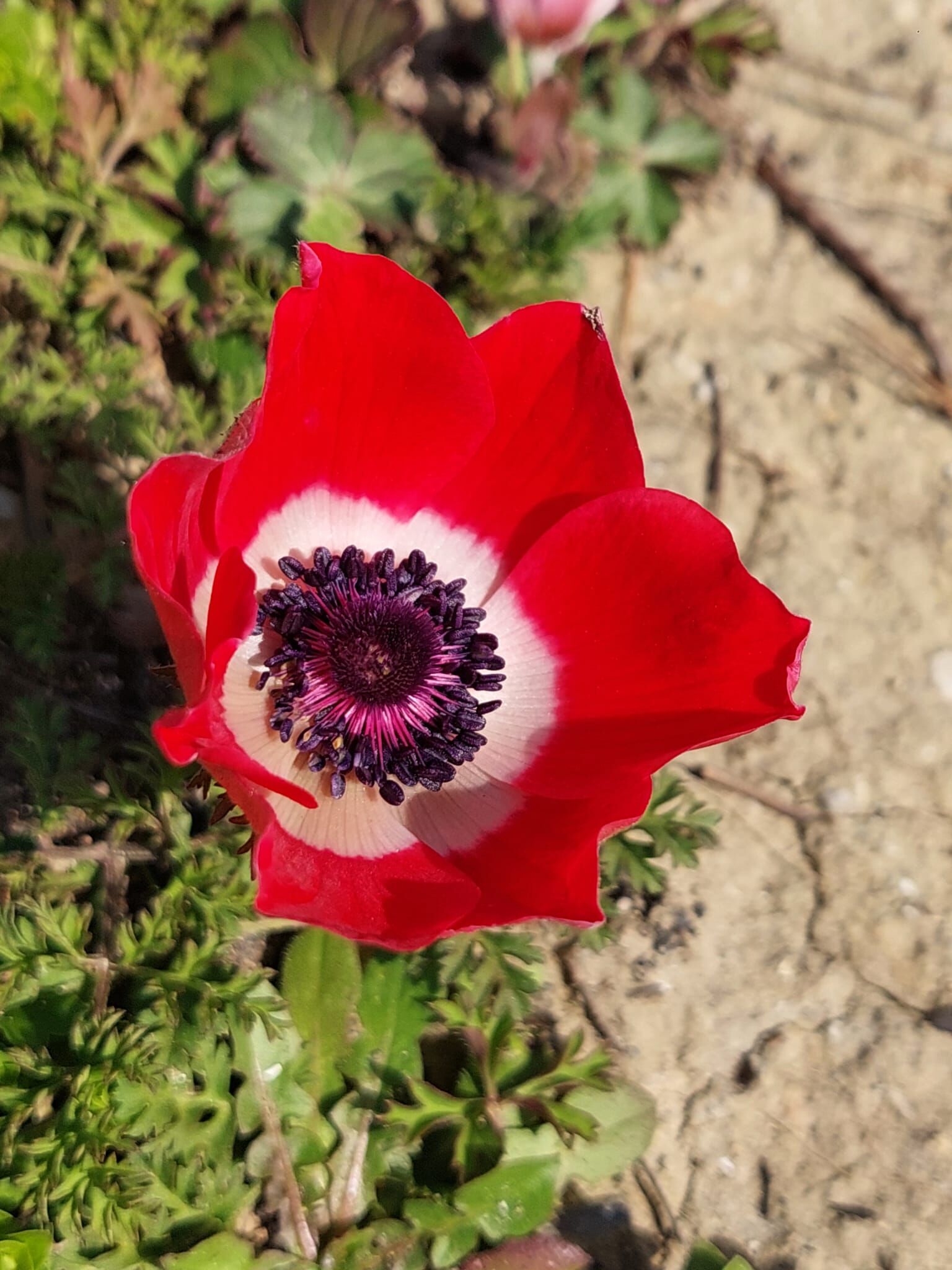 9Edc4414 B846 4E27 901B Eb177D13A25B