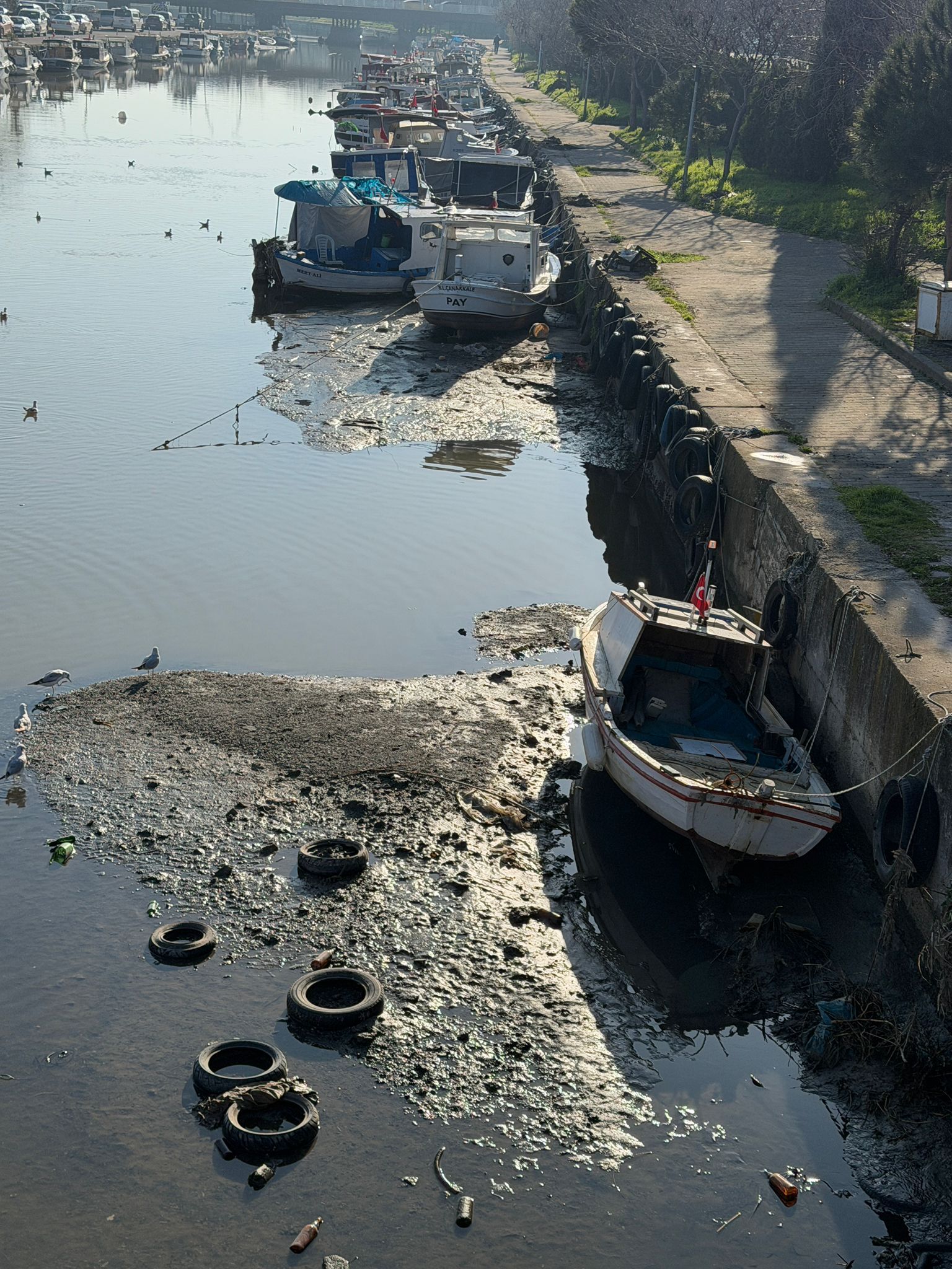 Aa6Da3B8 0564 43Cf B035 Ca08B2A16409