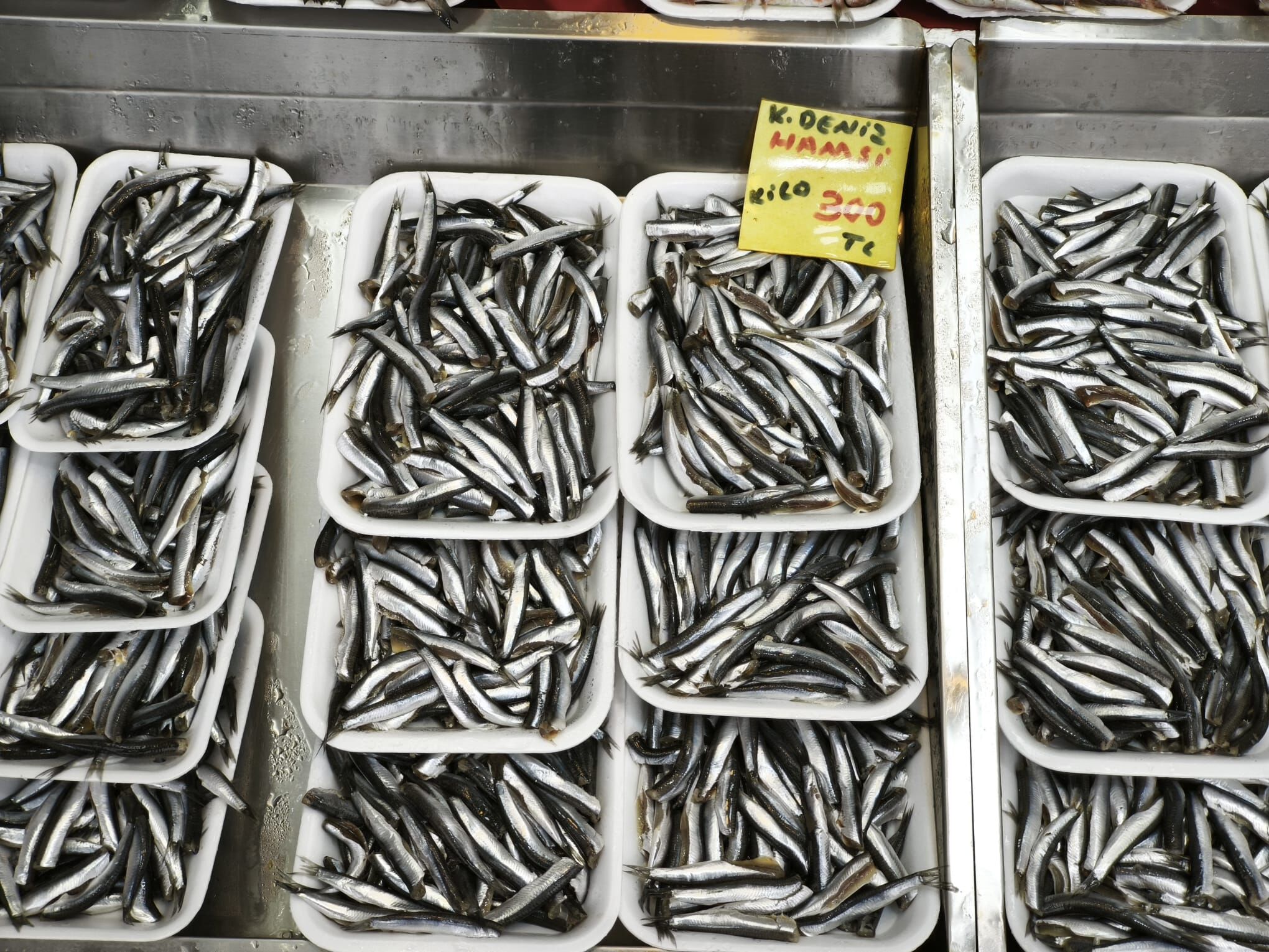 Af8F4680 E0Ac 4Ce6 9057 259A50D8D4Cb