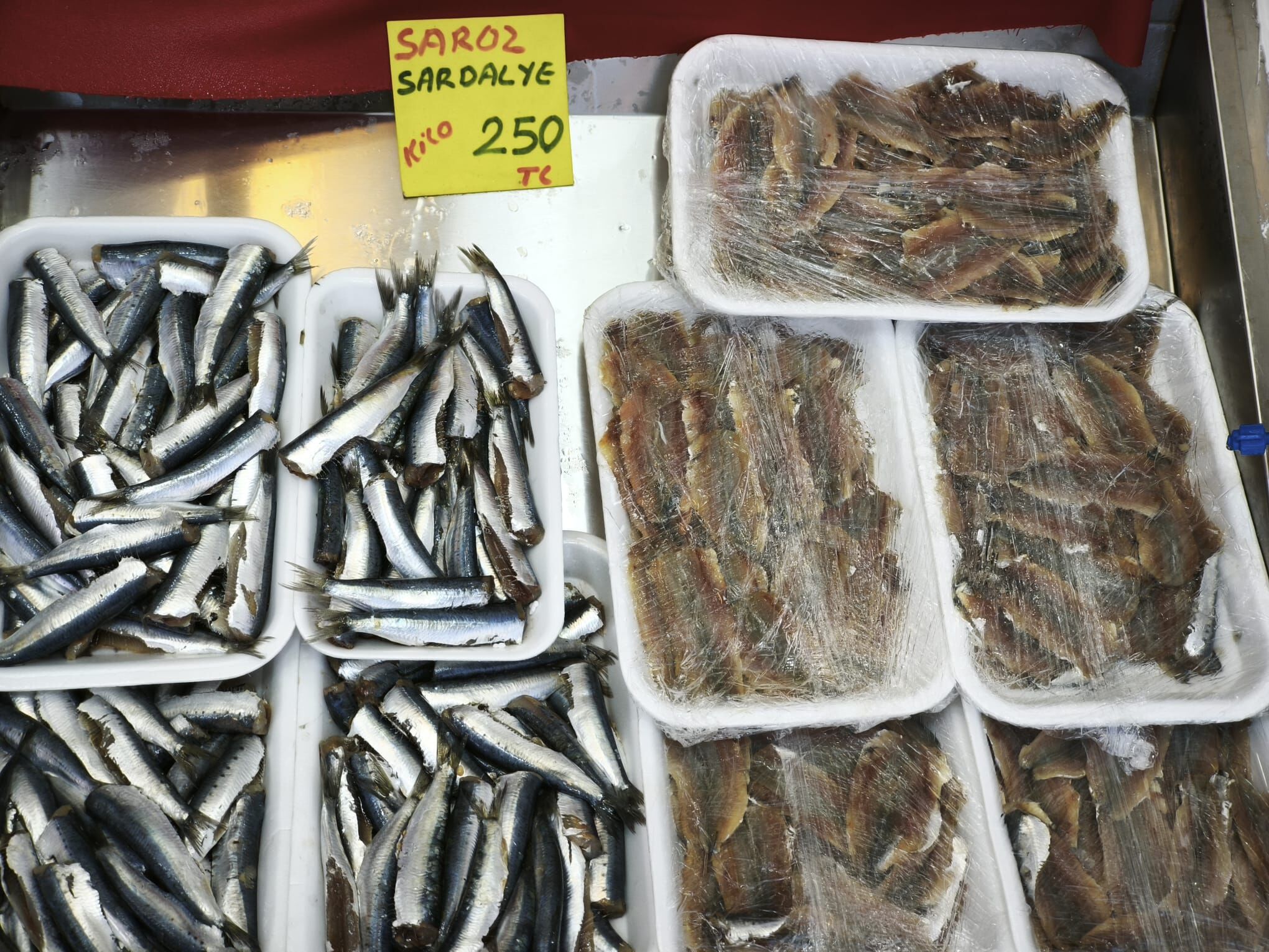 Be1D9184 Ebb1 4Ad3 B81C 1128593024D1