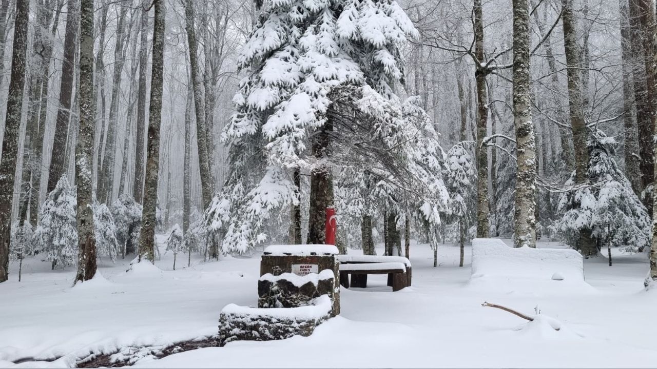 Bir Başlık Ekleyin (1)-771