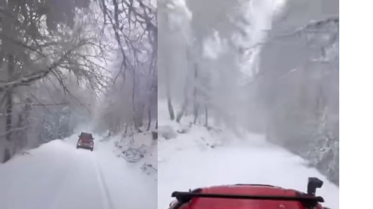 Bir Başlık Ekleyin (1)-774