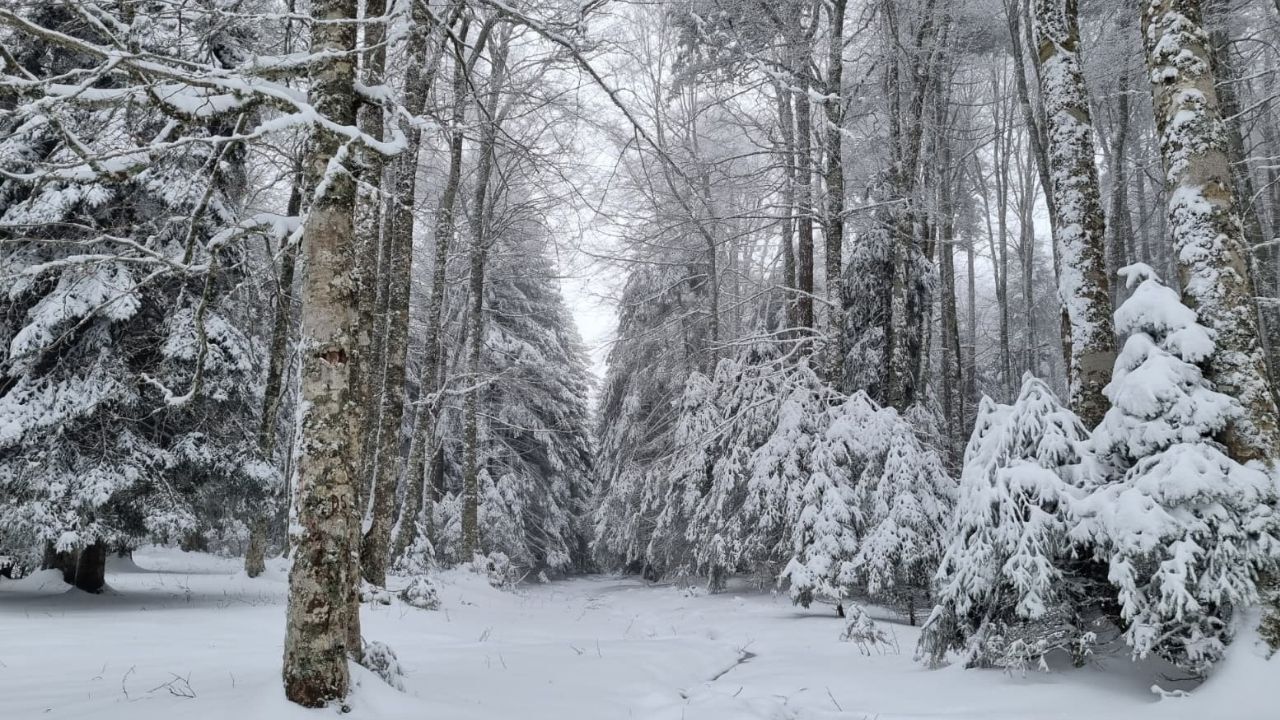 Bir Başlık Ekleyin (2)-566
