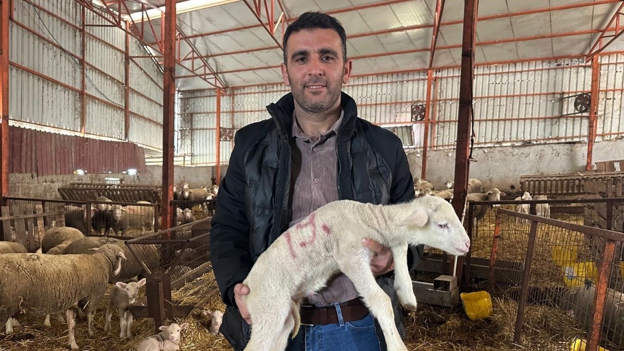 Bir Başlık Ekleyin (2)-574