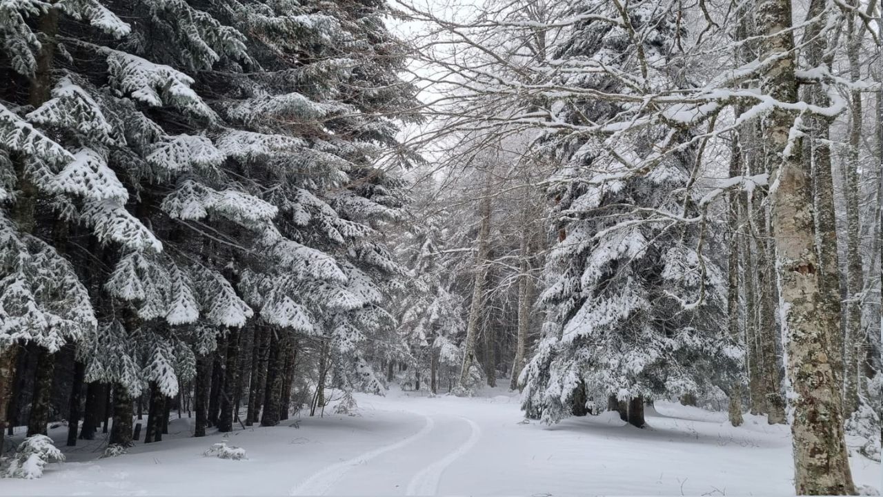 Bir Başlık Ekleyin (3)-431